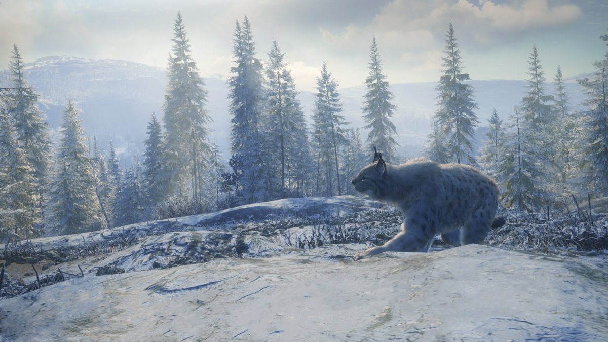 The Hunter Call of the Wild Сибирь