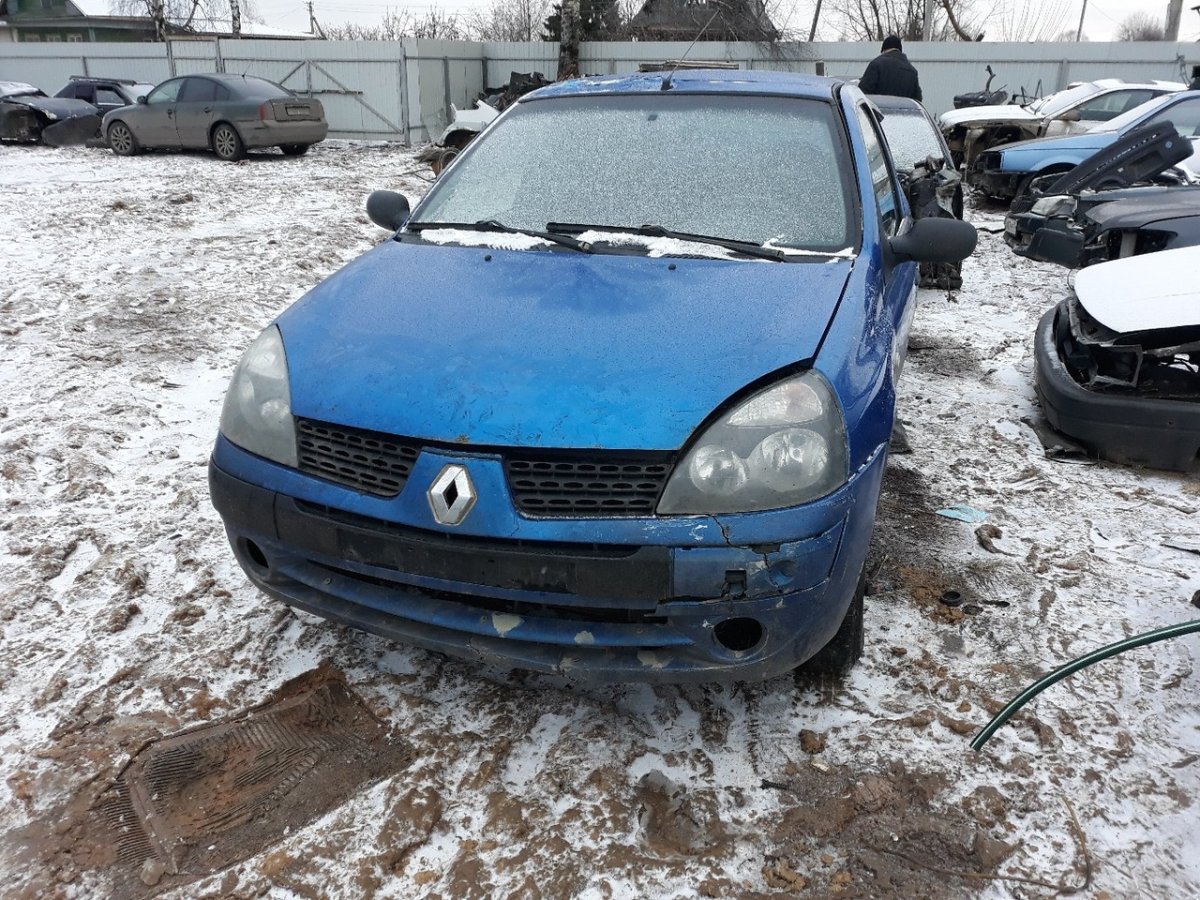 Боровой Рено Симбол