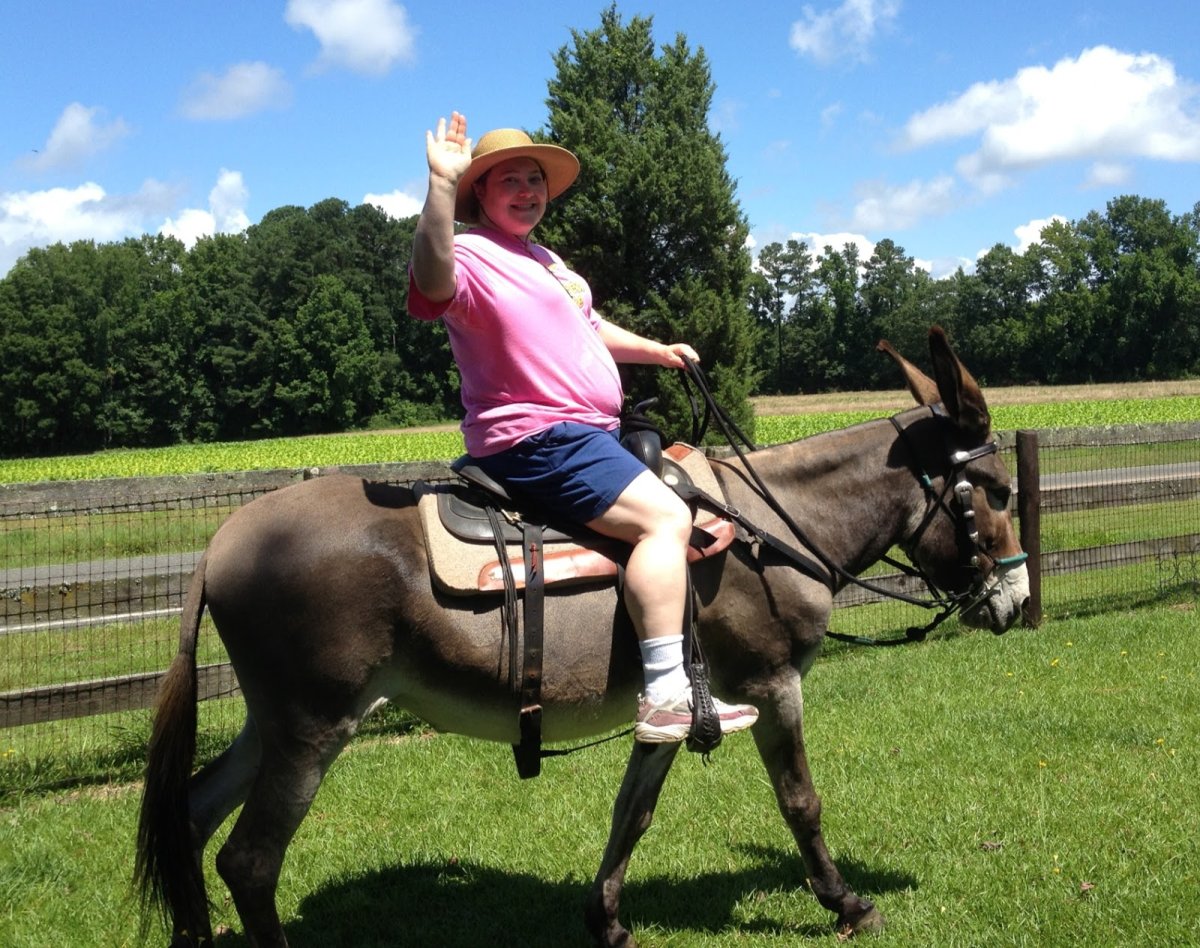 Donkey Pony Ride