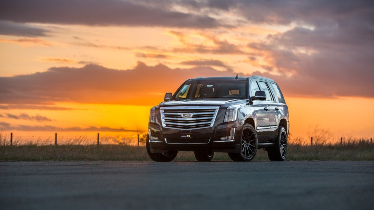 Escalade 800