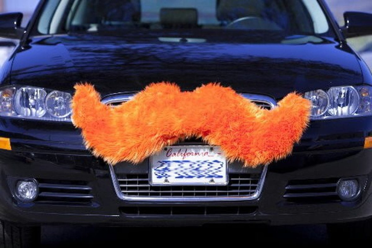 Автомобиль с усами