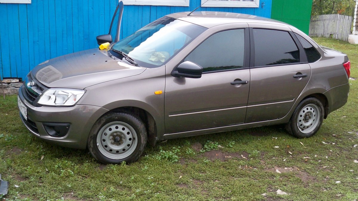 Цвет кориандр Лада Гранта