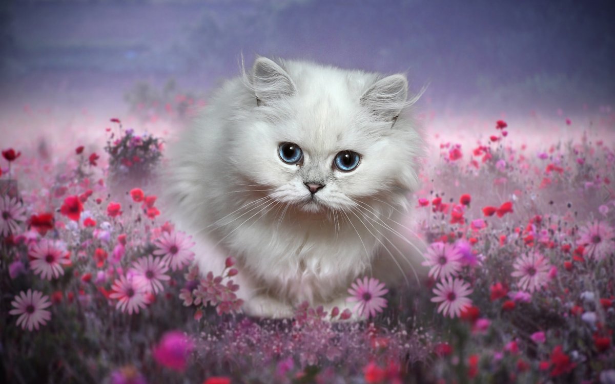 Милые котята с цветами