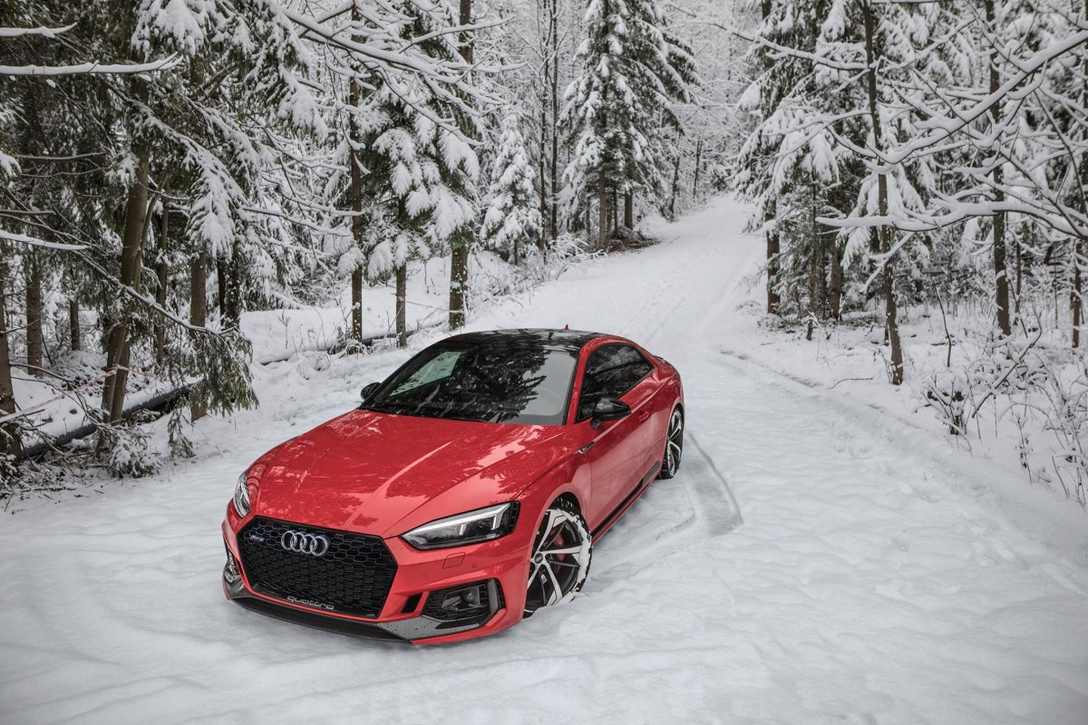 Audi Winter rs5
