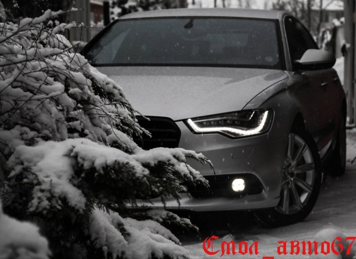 Ауди а6 зима лес