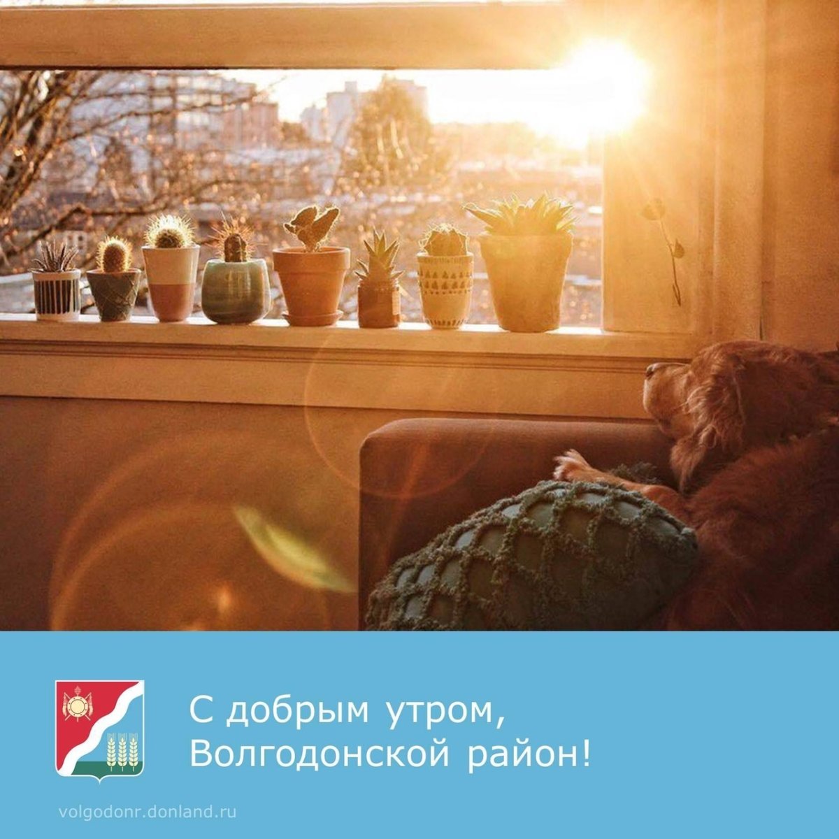 Утро Эстетика