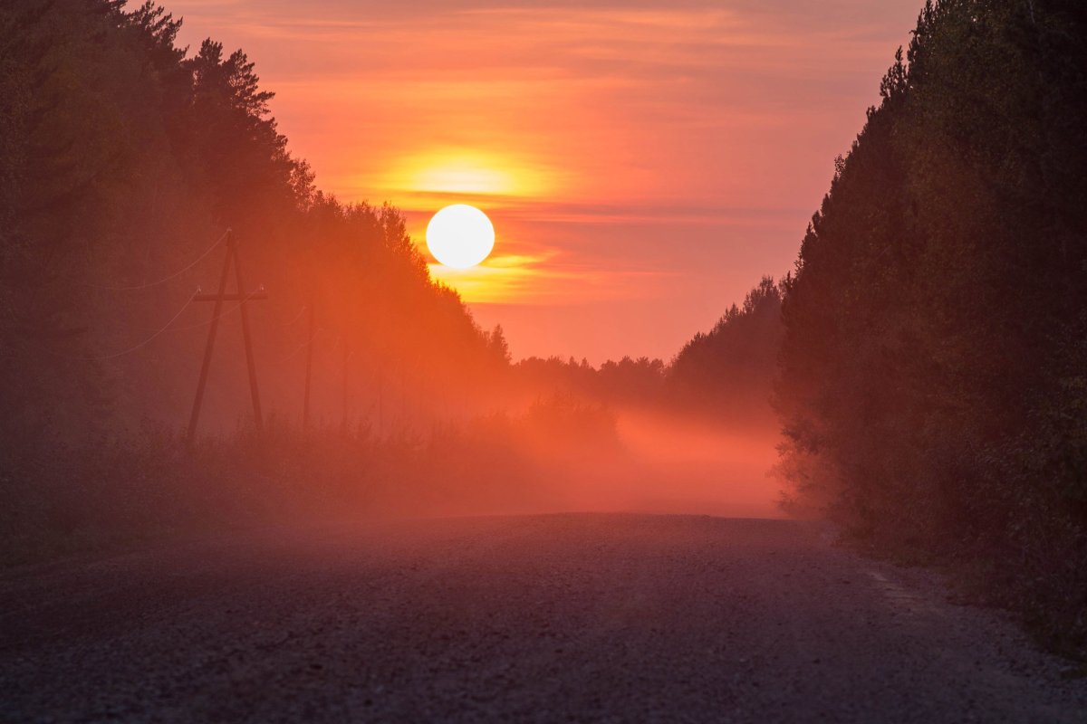 Солнце в тумане