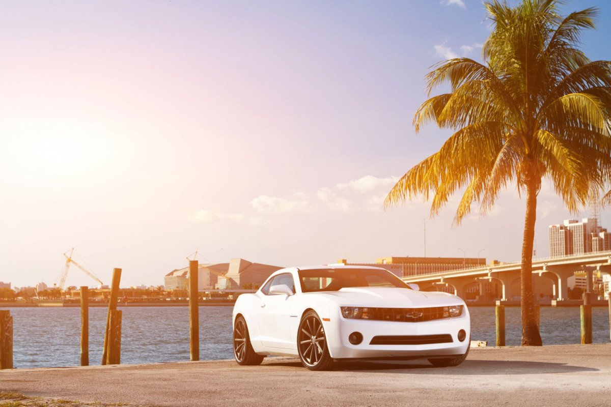 Camaro Chevrolet Mayami