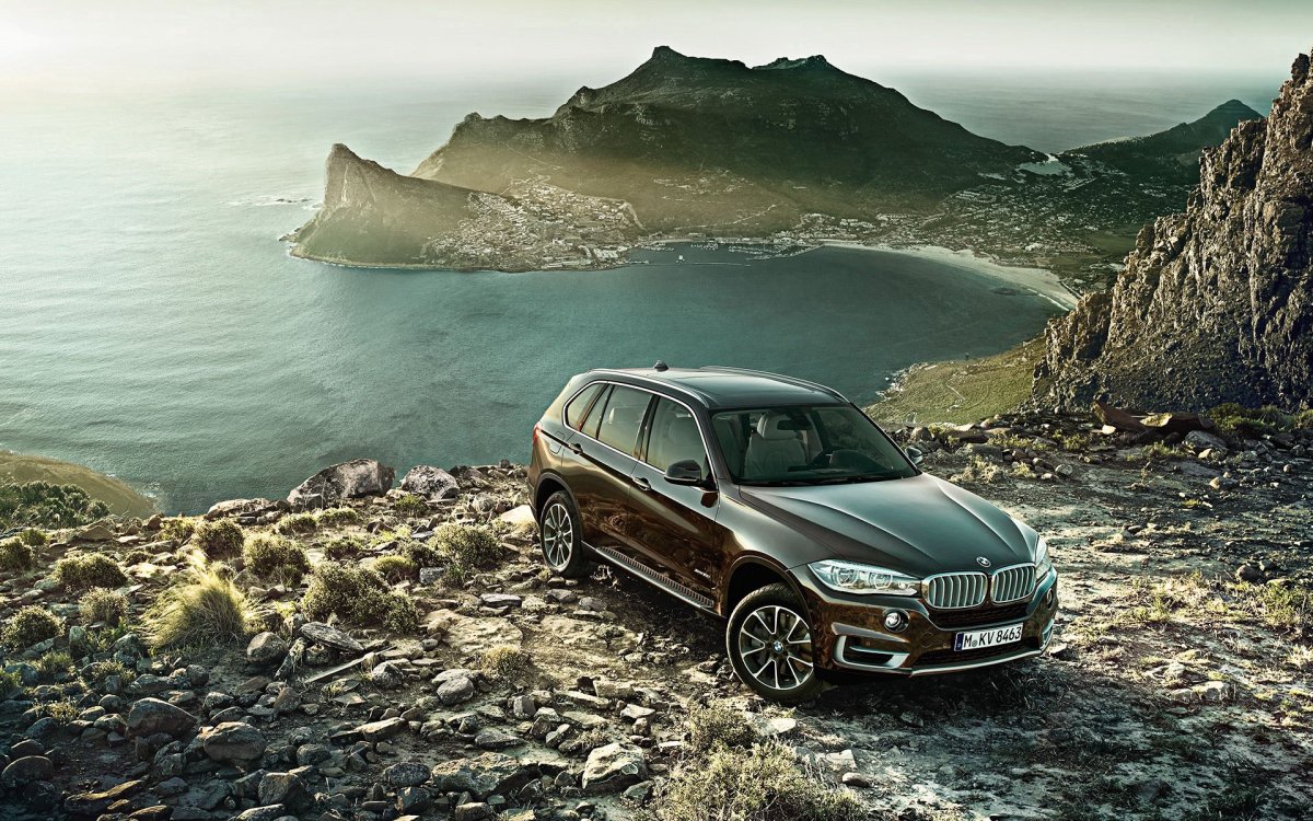SUV BMW x5 Brown