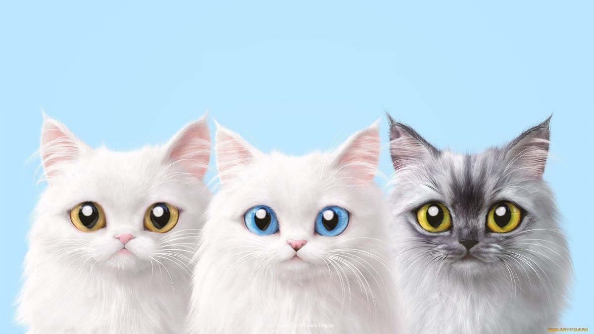 Фон с котятами