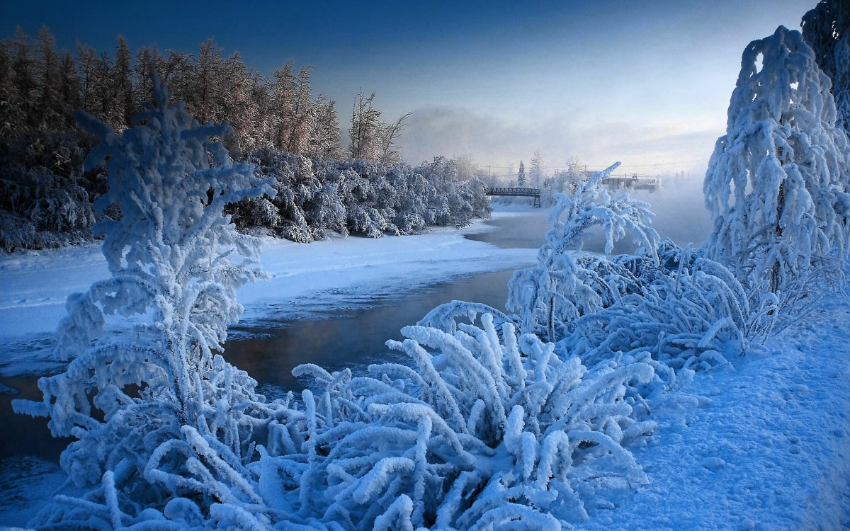 Самая красивая зима