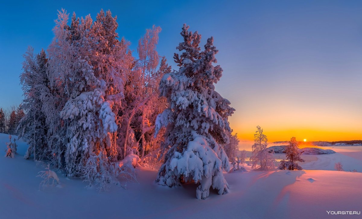 Зимняя природа
