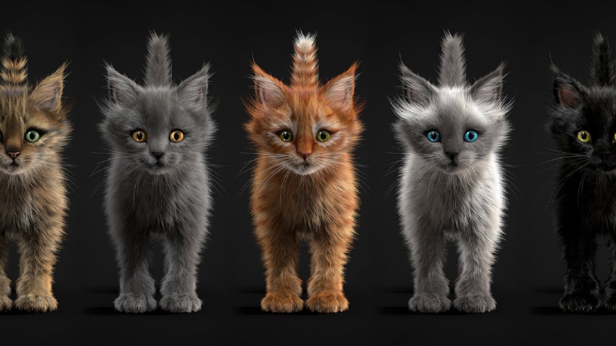 Разные расцветки кошек