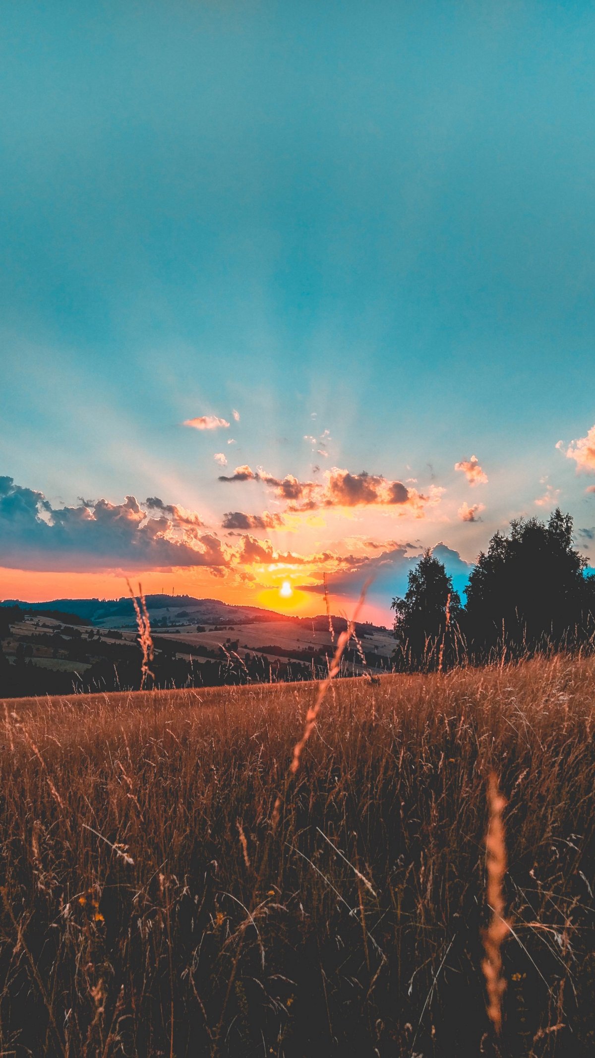 Красивый закат в поле