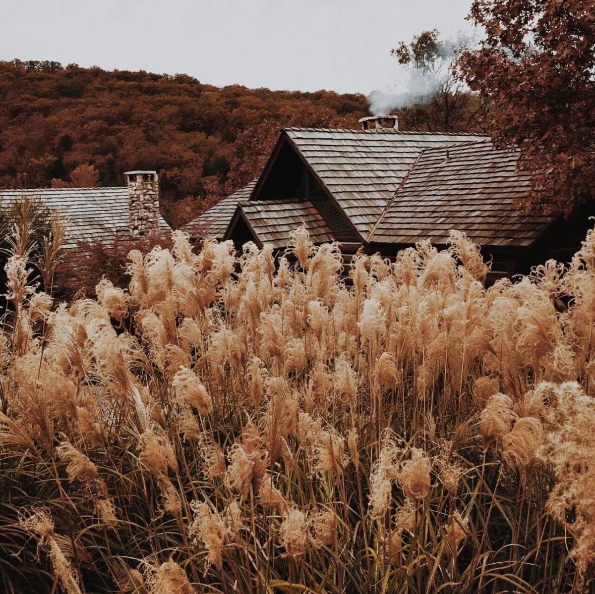 Осень Эстетика