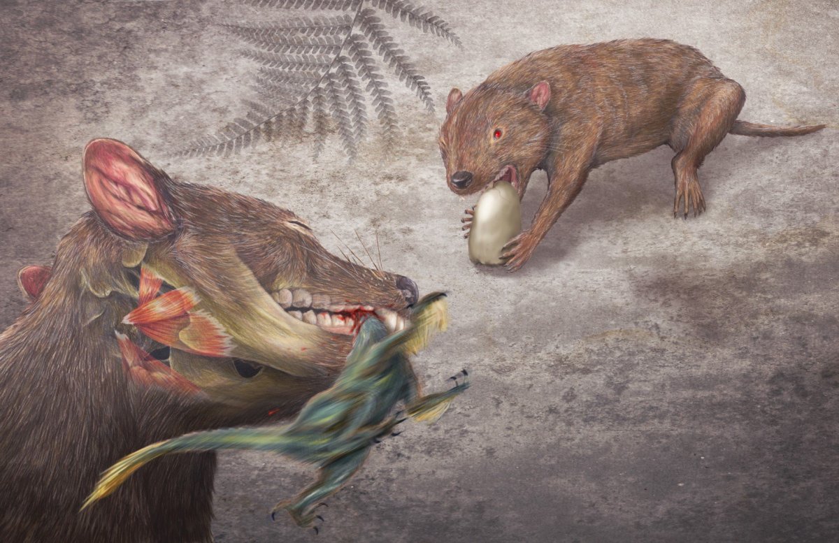 Didelphodon Vorax