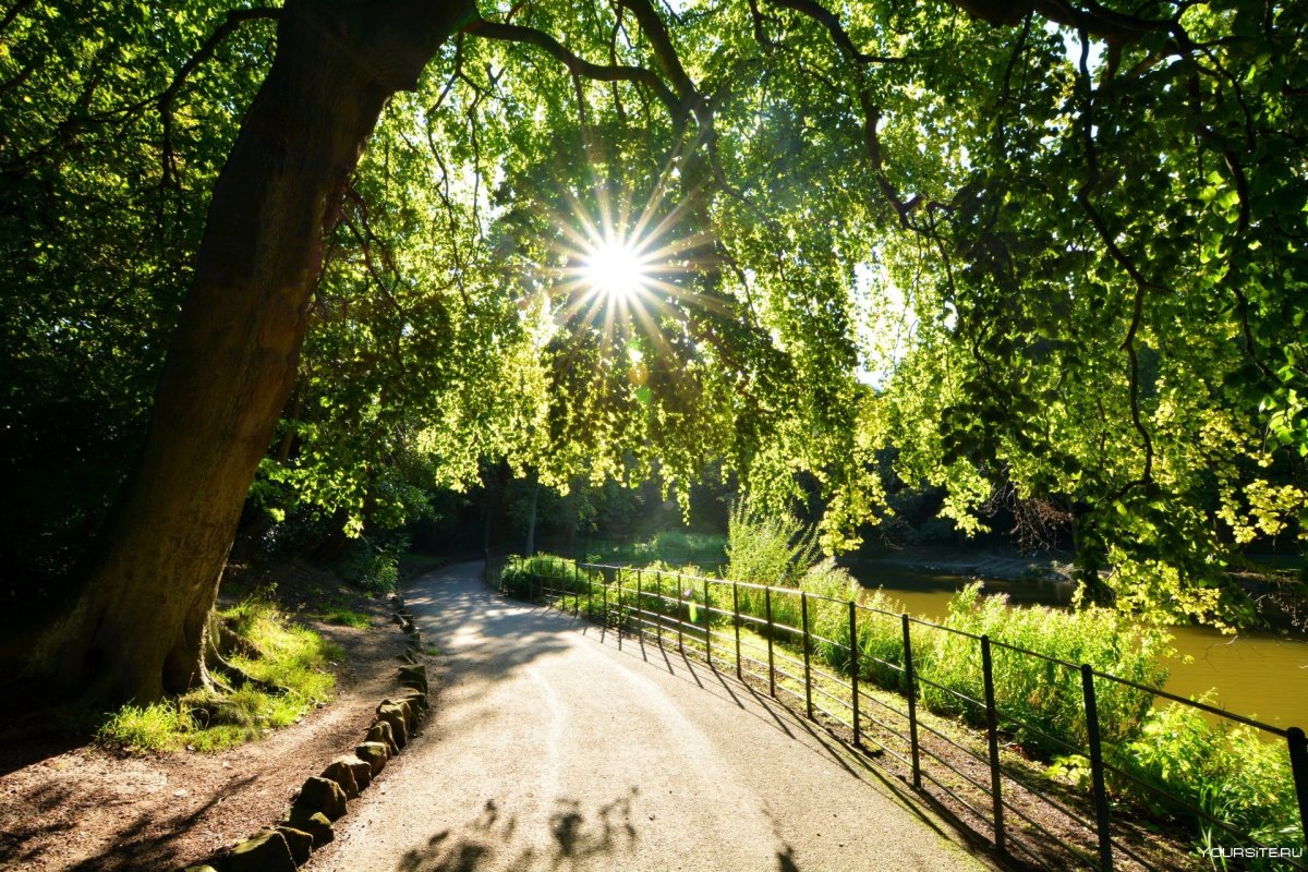 Летний сад в парке Швейцария