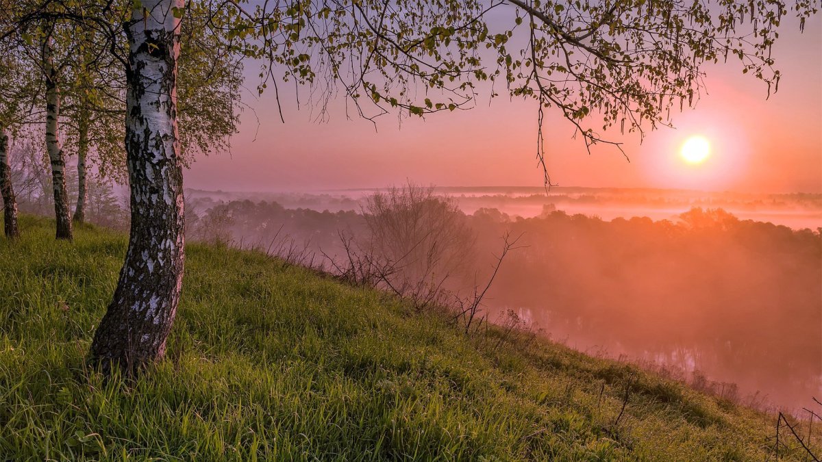 Природа рассвет