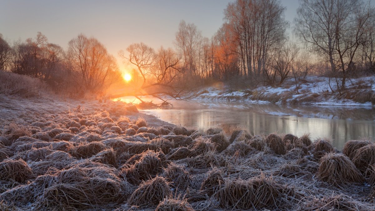 Весенний рассвет