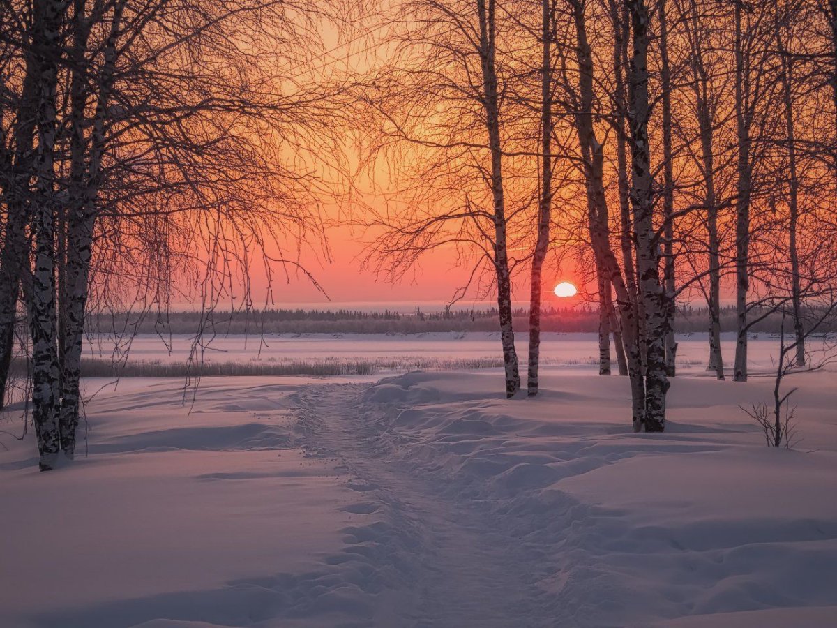 Зимнее утро