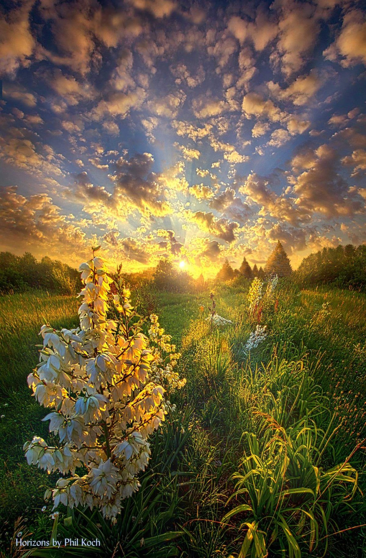 Красивый весенний рассвет