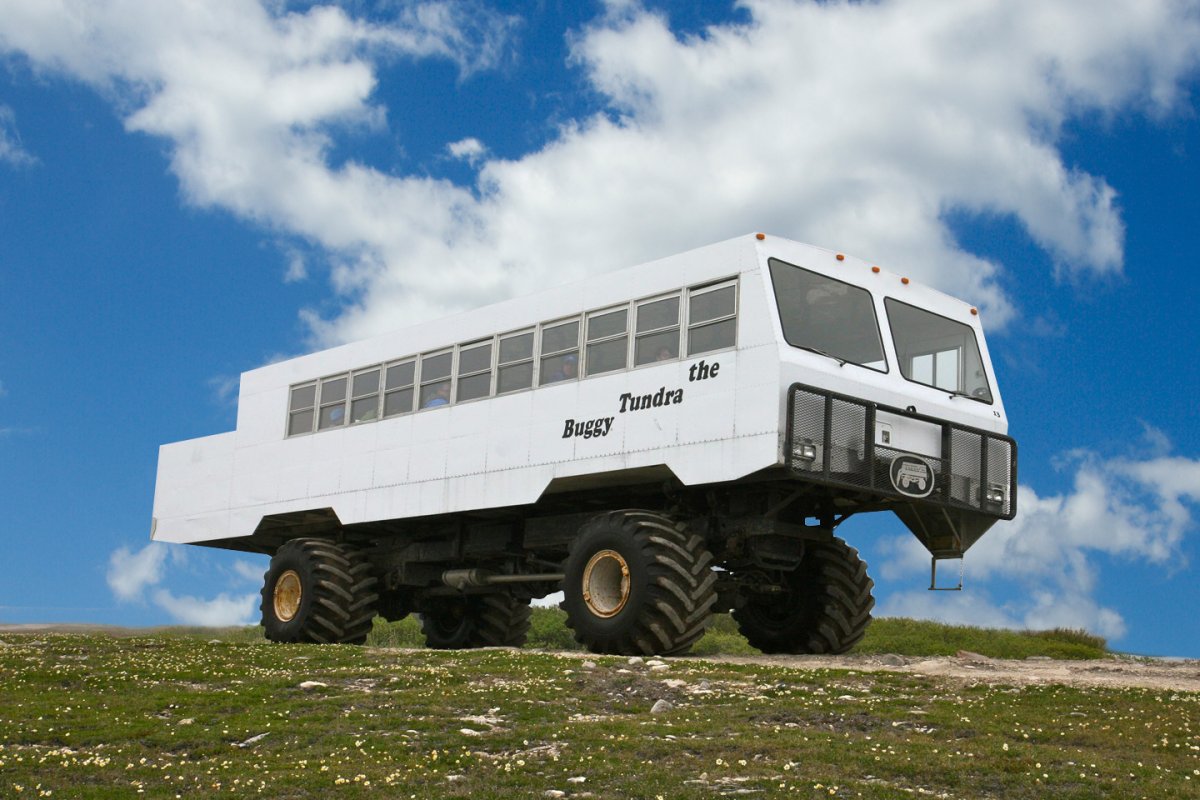 Вездеход п8wd Геолком-ПМ