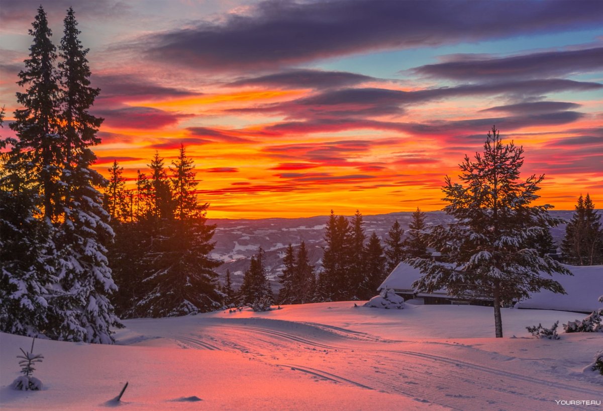 Jorn Allan Pedersen(Норвегия)