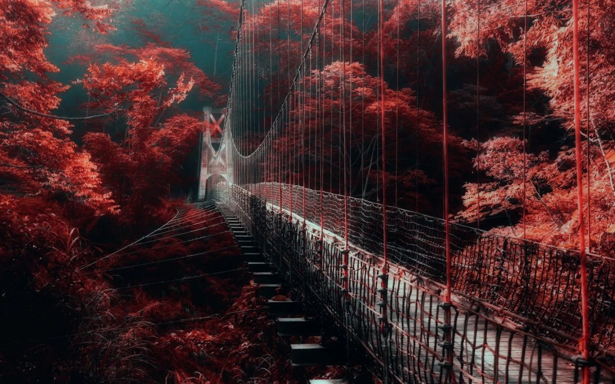 Странные пейзажи