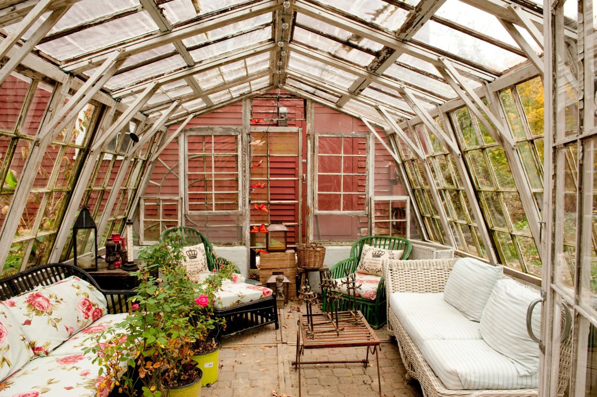 Теплица Елены Власенко Green House
