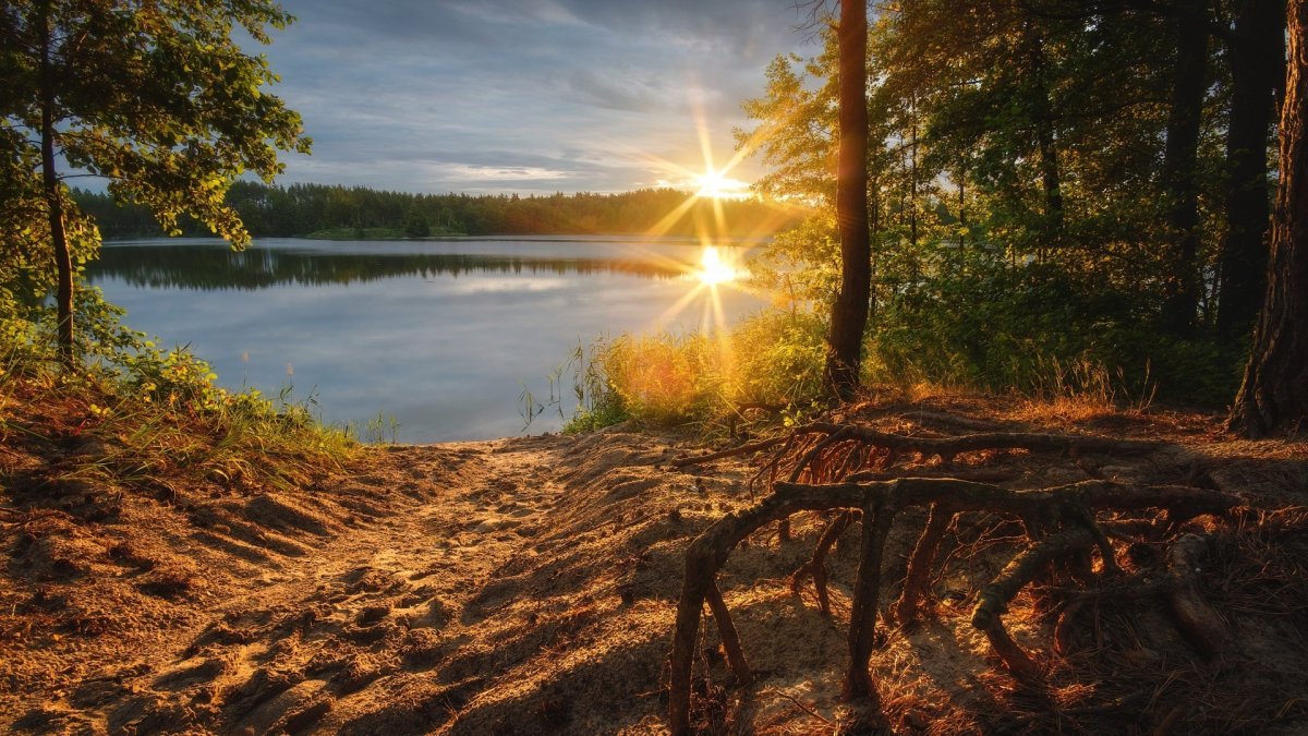 Лето река солнце