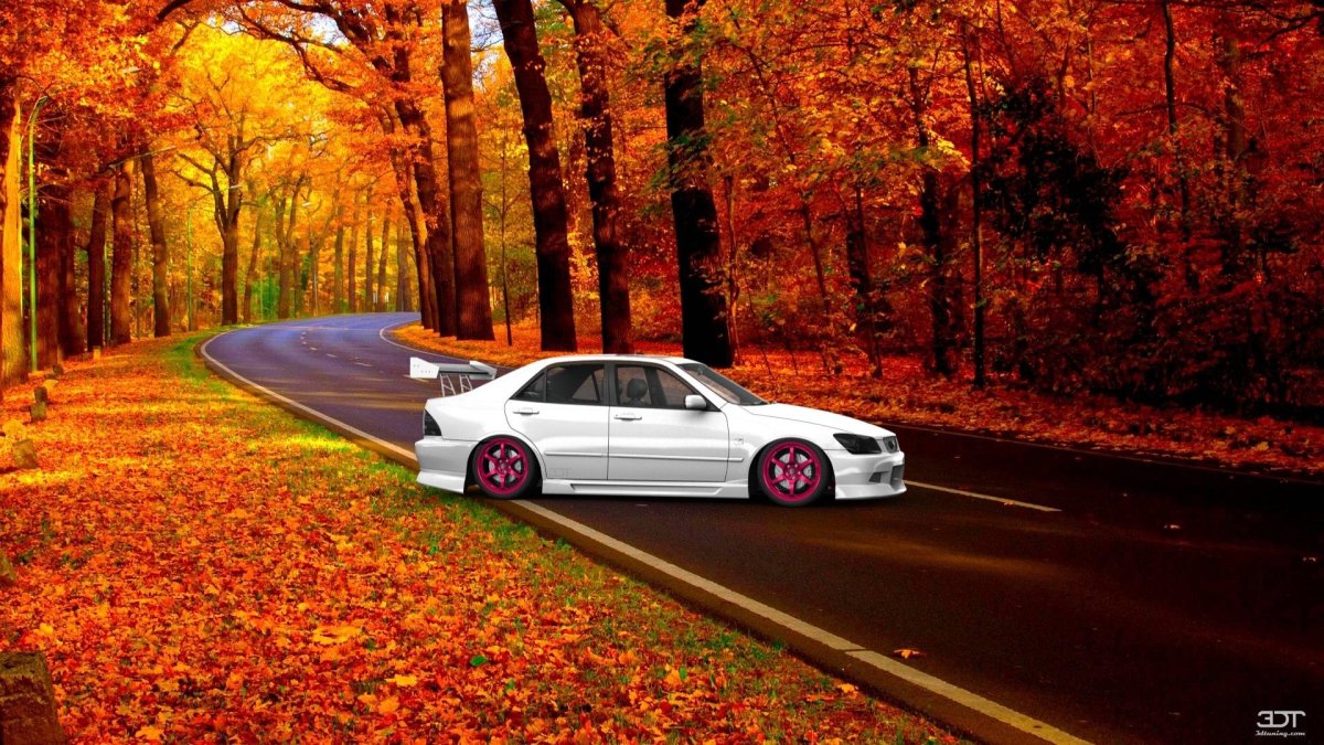 JDM осень