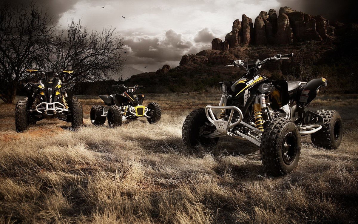 Off Road 4x4 квадроцикл