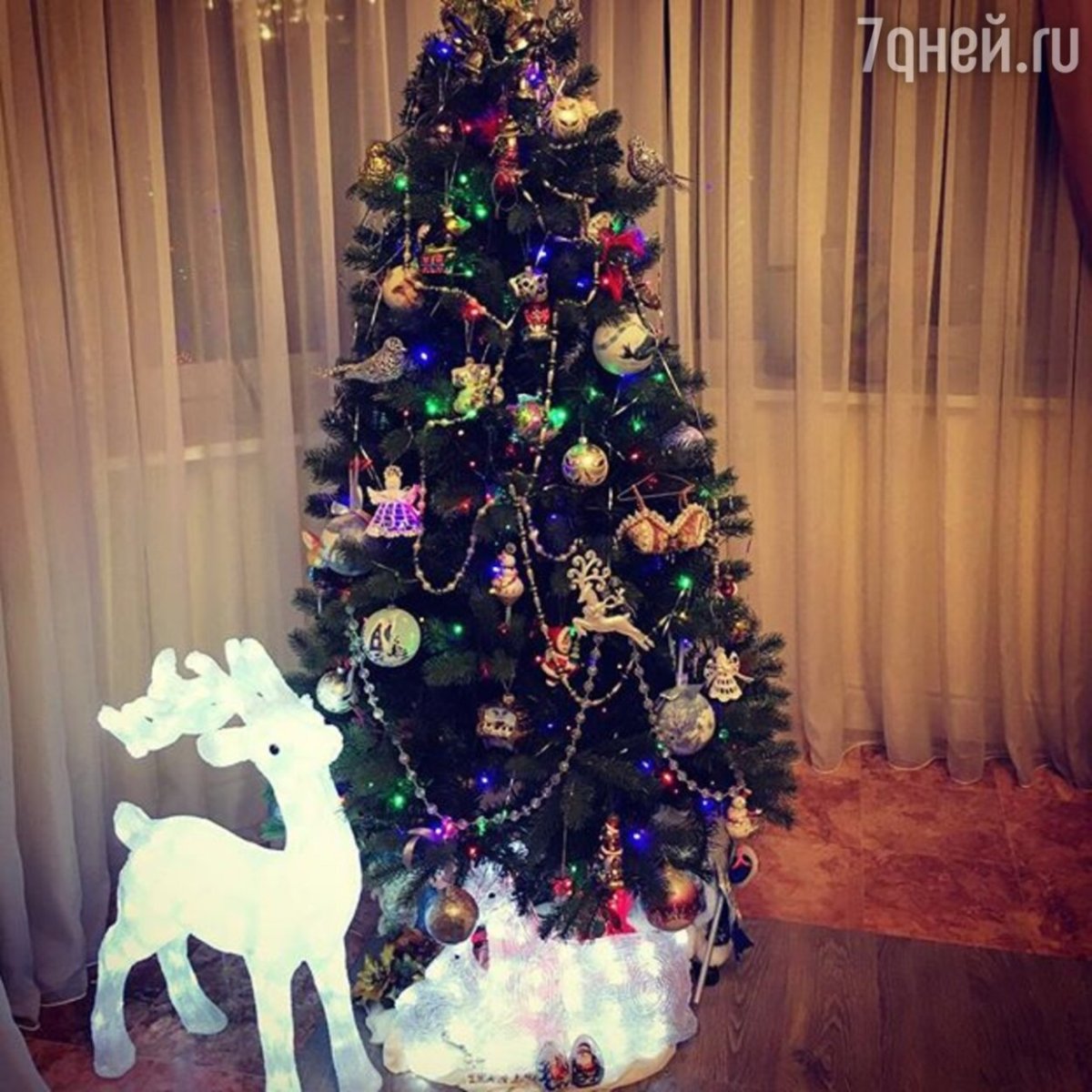 Новогодние елки для инстаграмма
