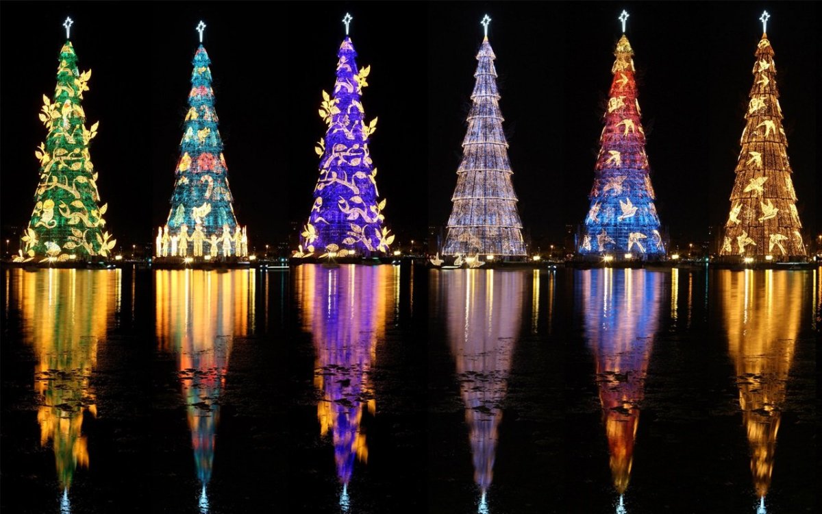 Самые красивые елки мира