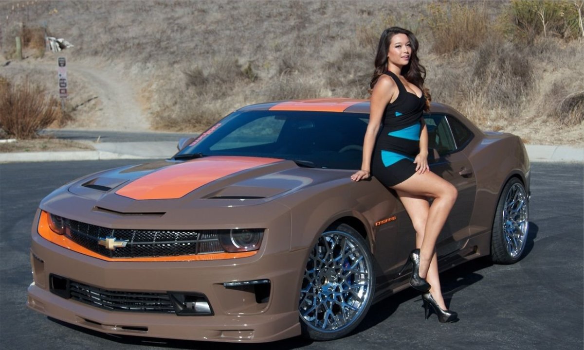 Shelby Malibu