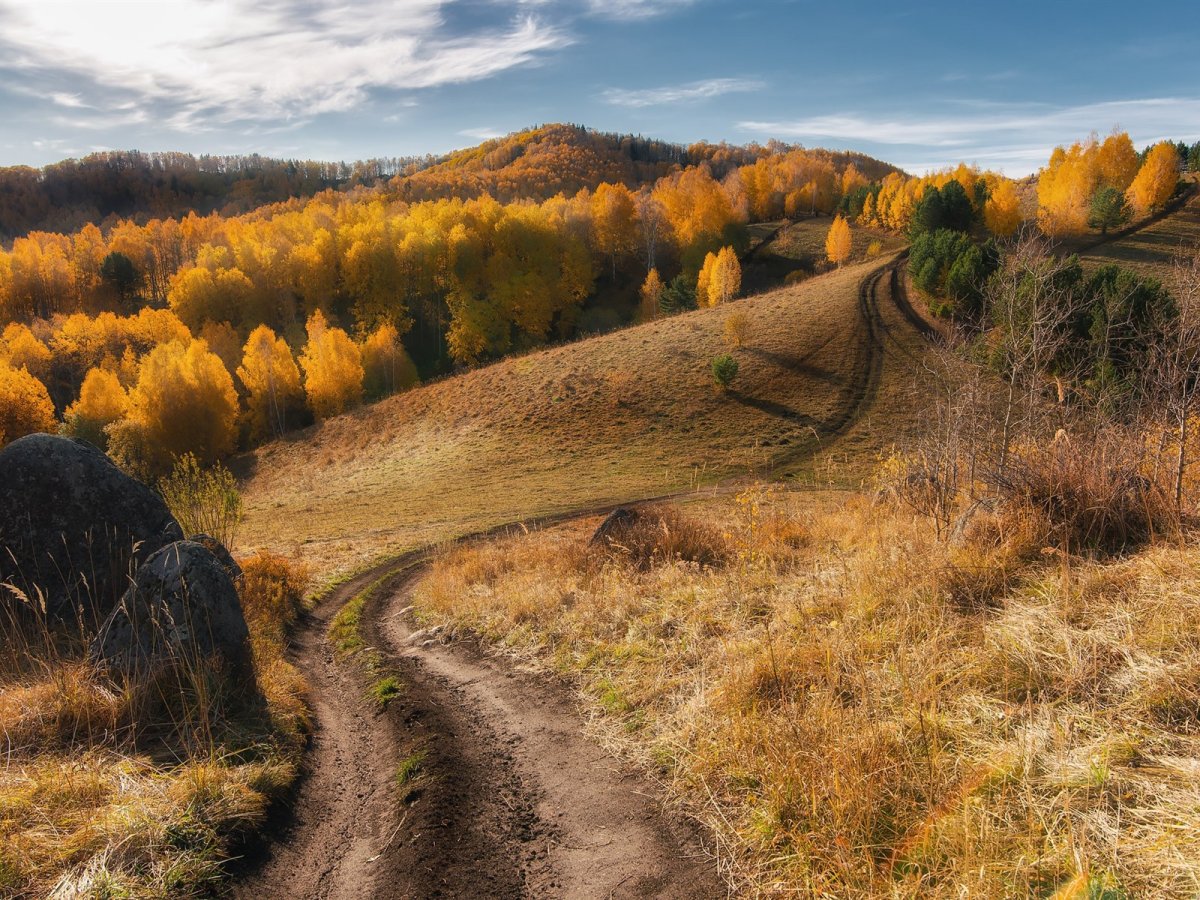 Лесостепь осень холмы река