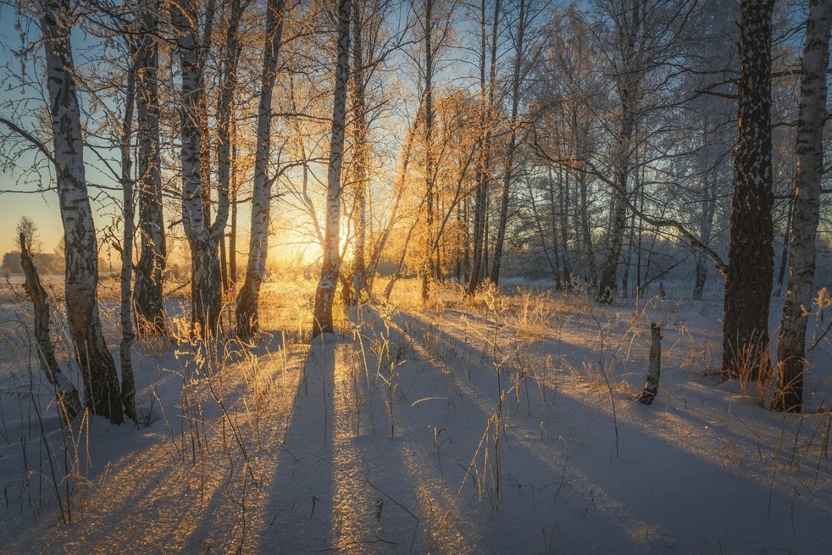 И редкий солнца Луч и первые Морозы