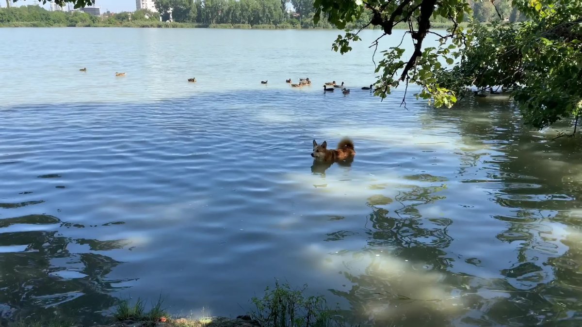 Доклад про Солнечный остров