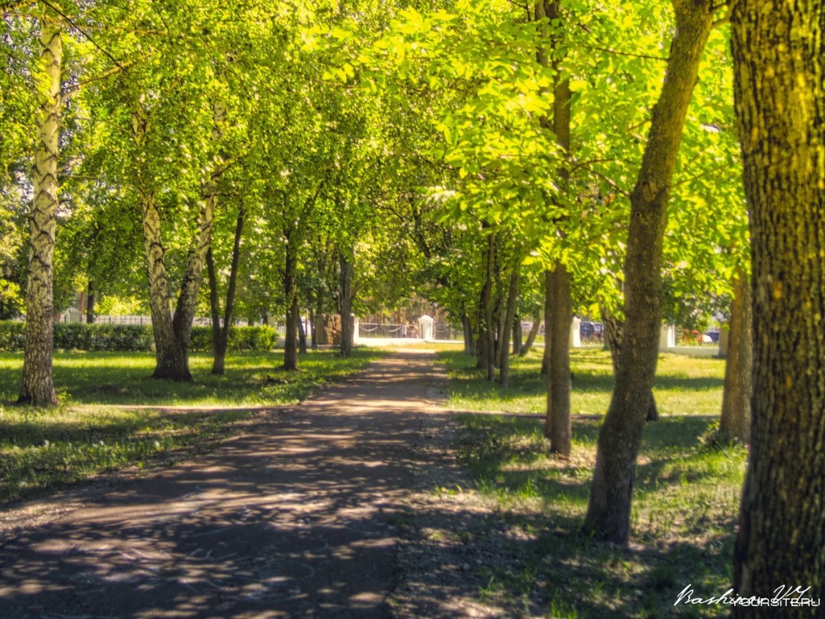Лето парк Калуга