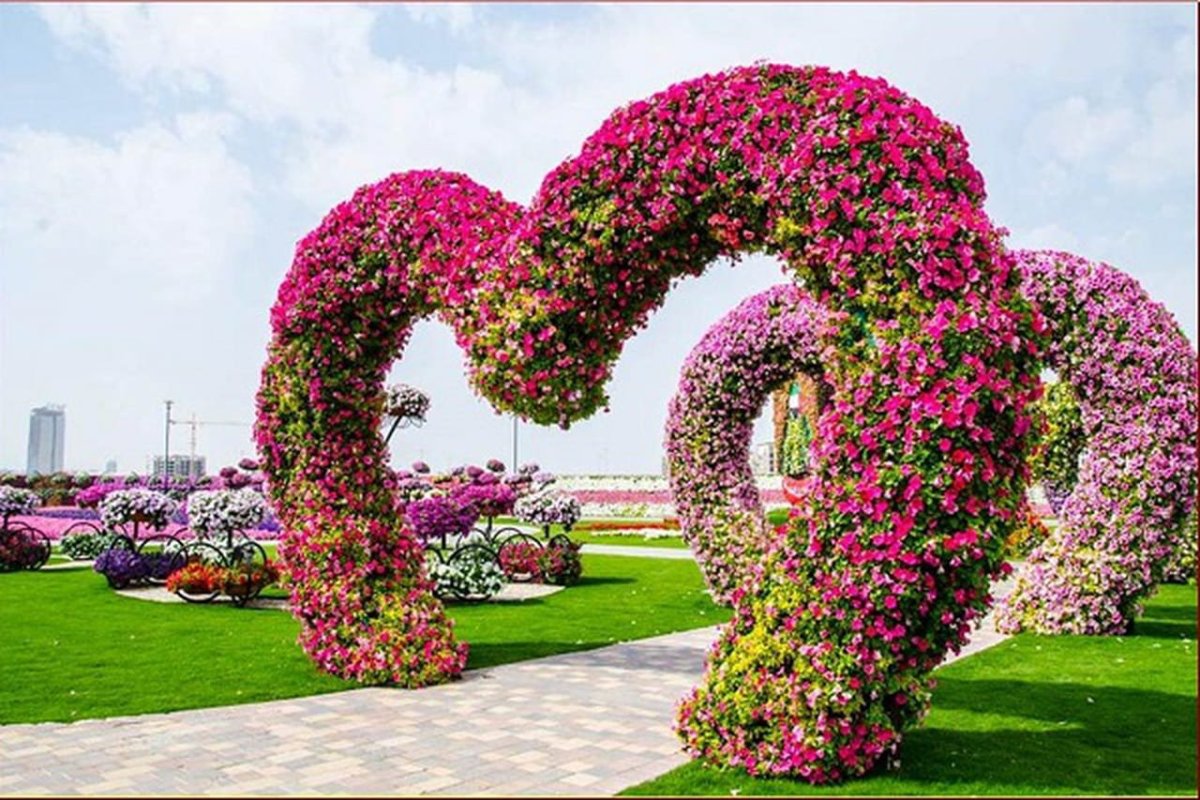 Самые красивые цветы в мире