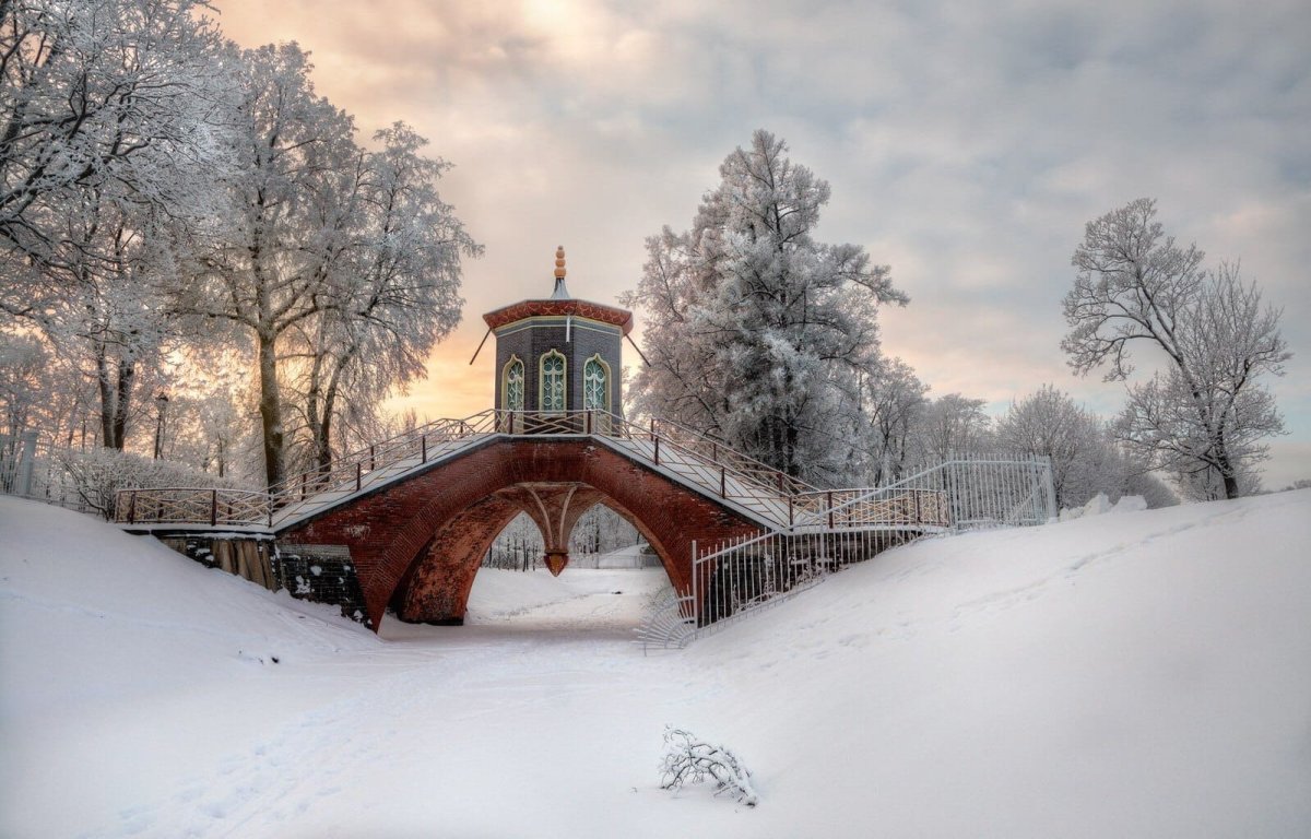 Александровский парк Санкт-Петербург зима