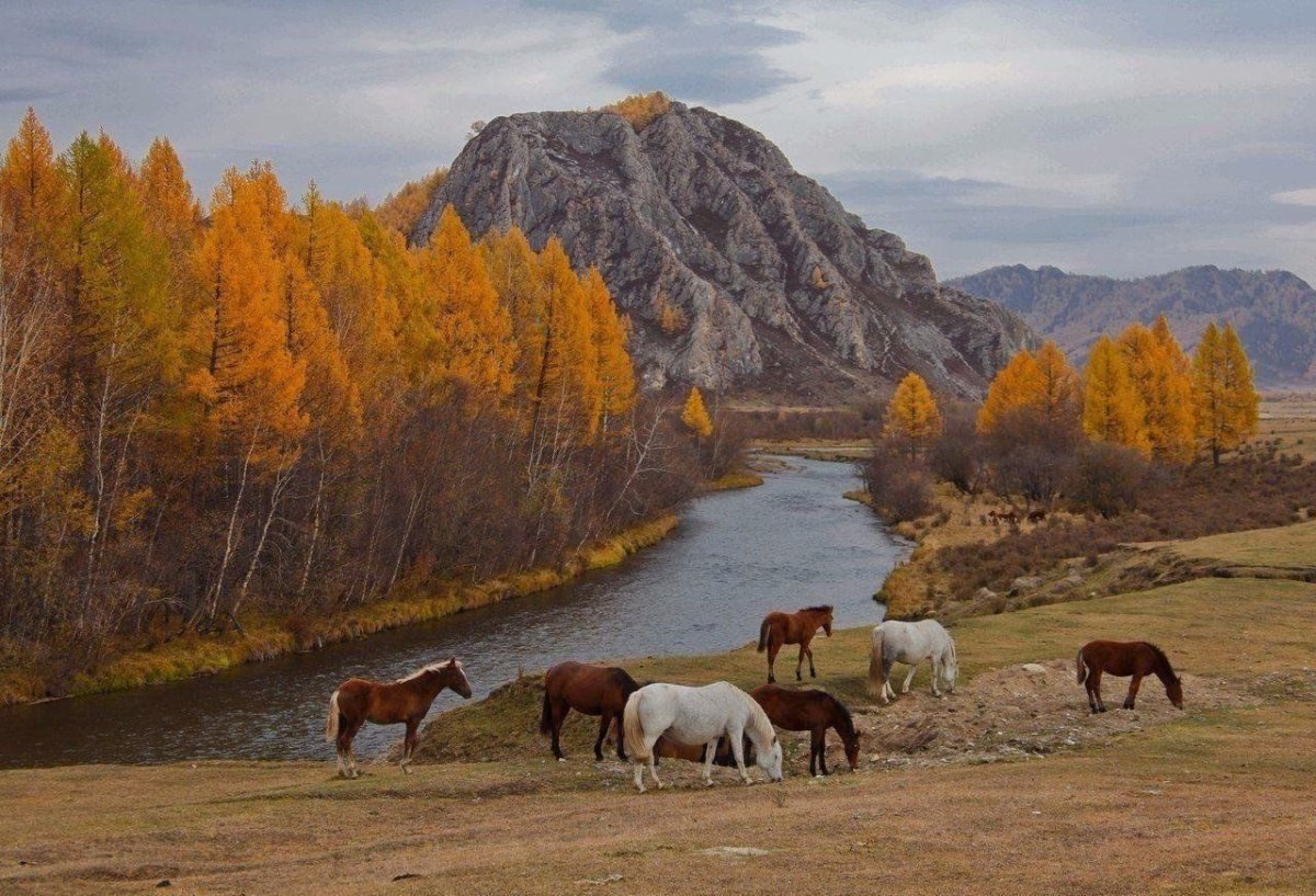 Село Усть Кан горный Алтай