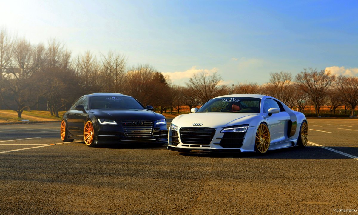 Audi r8 autumn