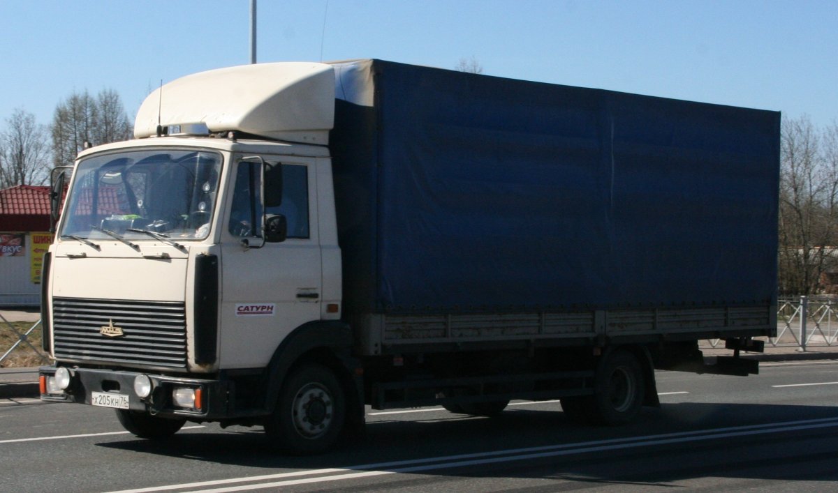 МАЗ 4370 Зубренок