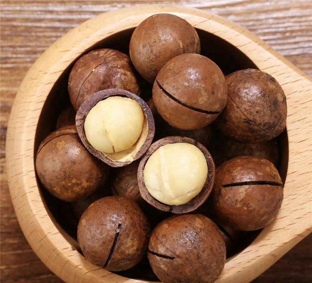 Шоколадный орех макадамия