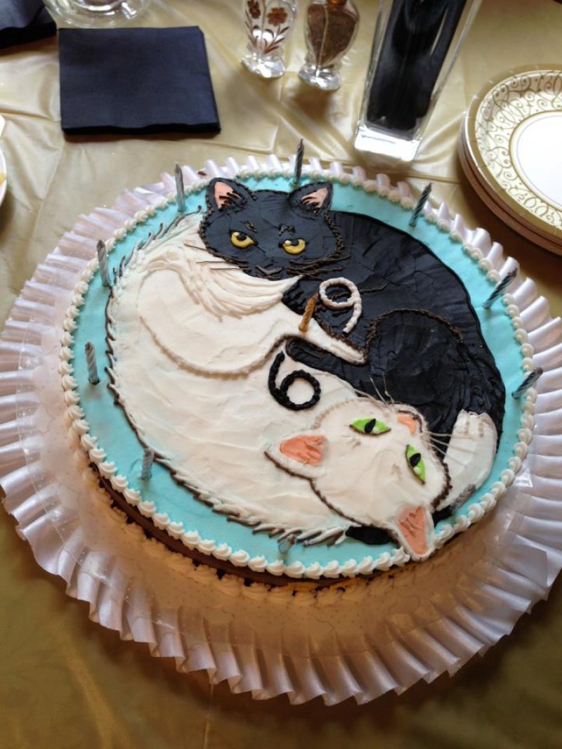 Кот тор