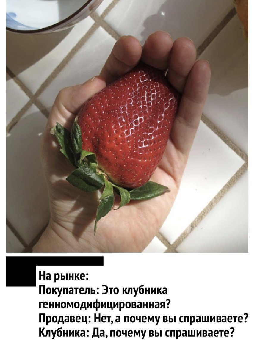 Клубника Максимус