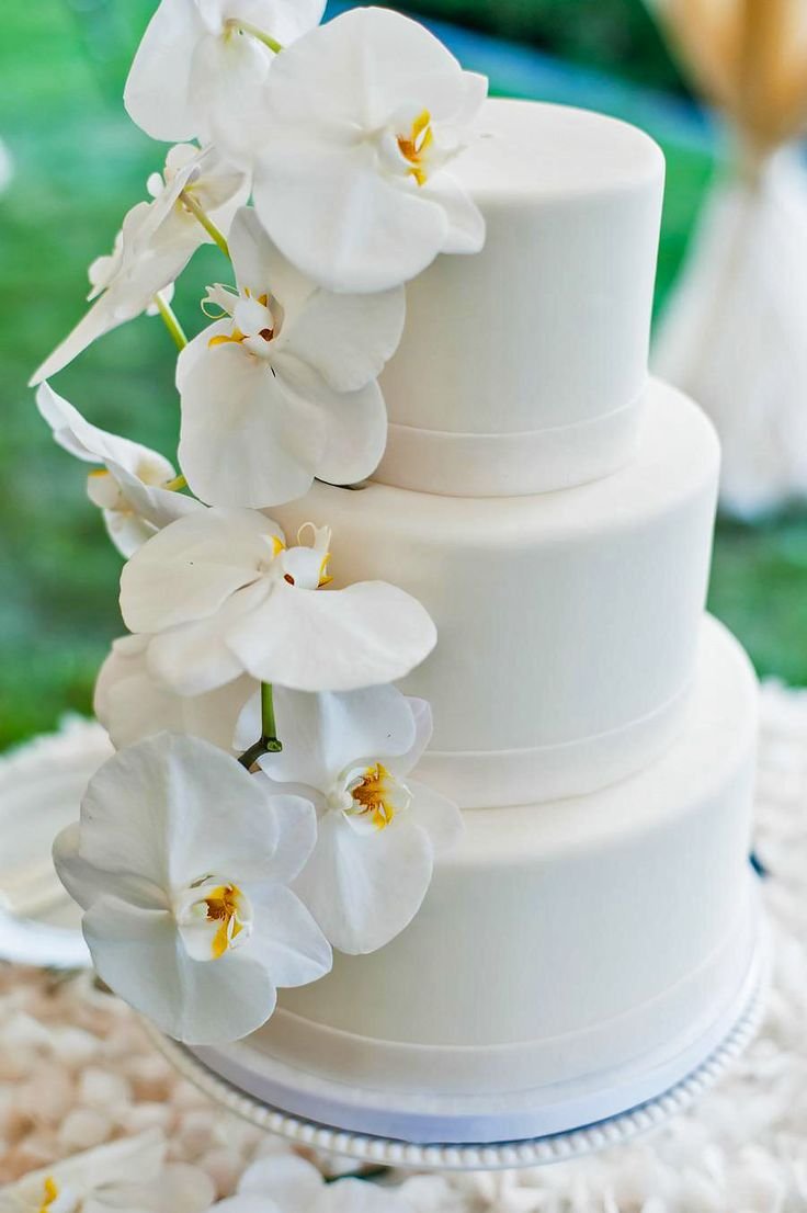 Wedding Cake сорт