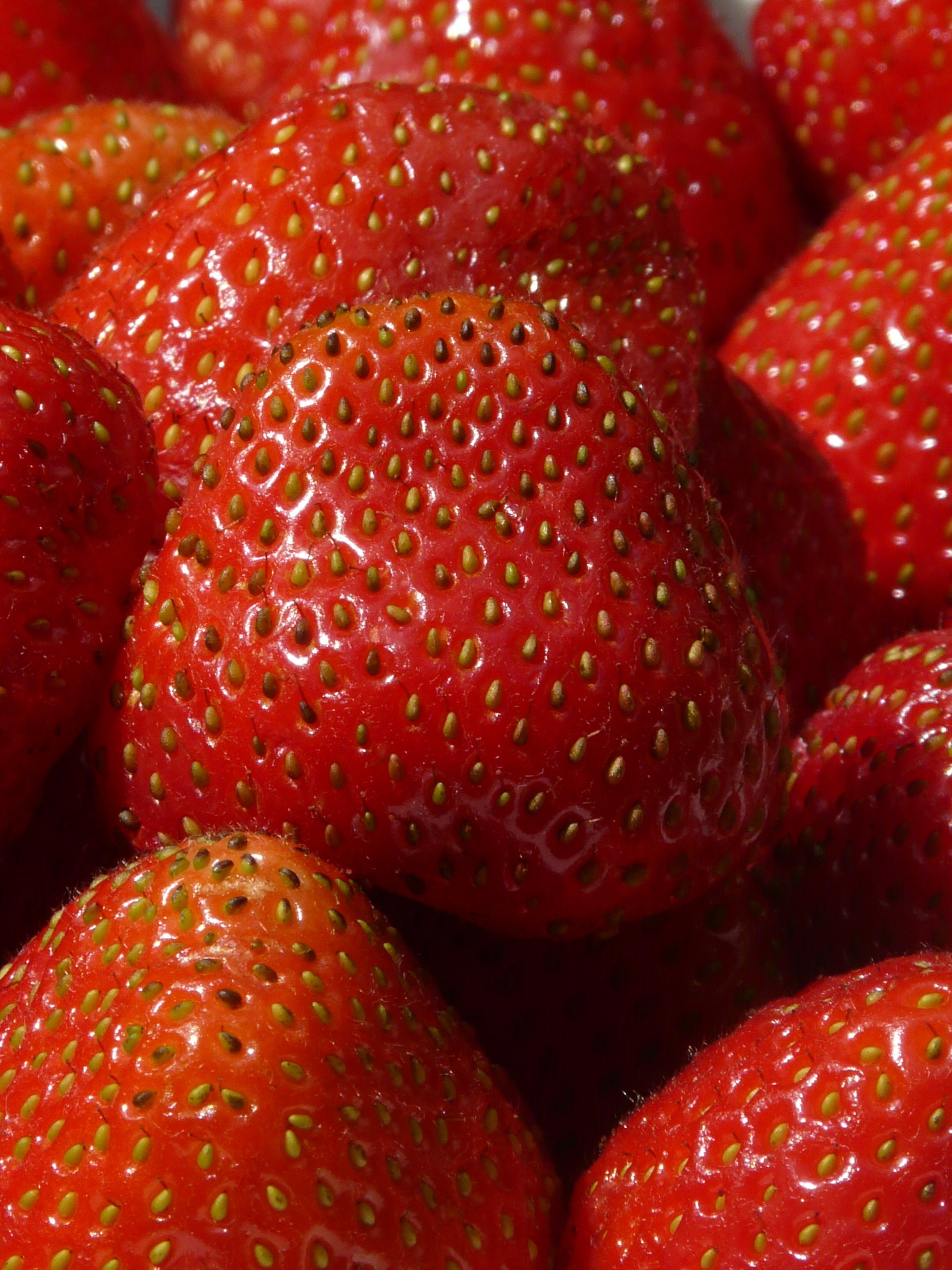 Collection strawberry. Клубника черри Берри. Черная клубника черри Берри. Черри блоссом клубника. Красные фрукты.