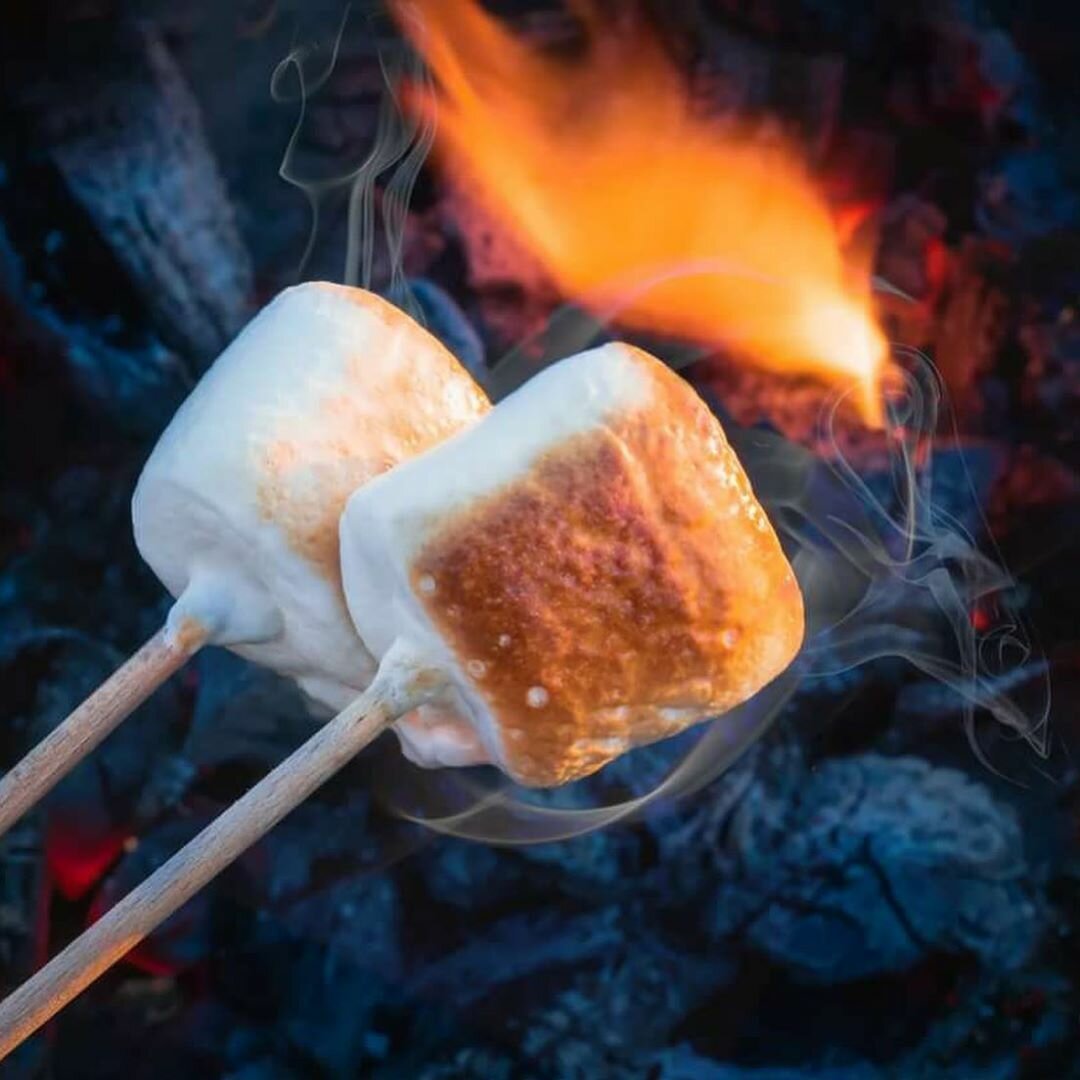 Зефирки на костре